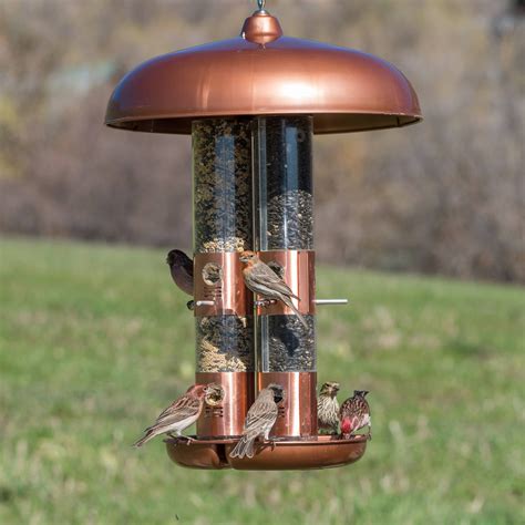 metal bird feeders pole mounted